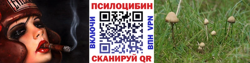 Галлюциногенные грибы Psilocybe Бирюч